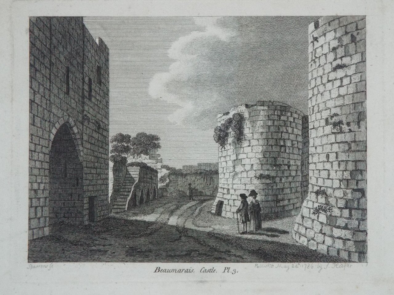 Print - Beaumaris, Castle. Pl.3. - 